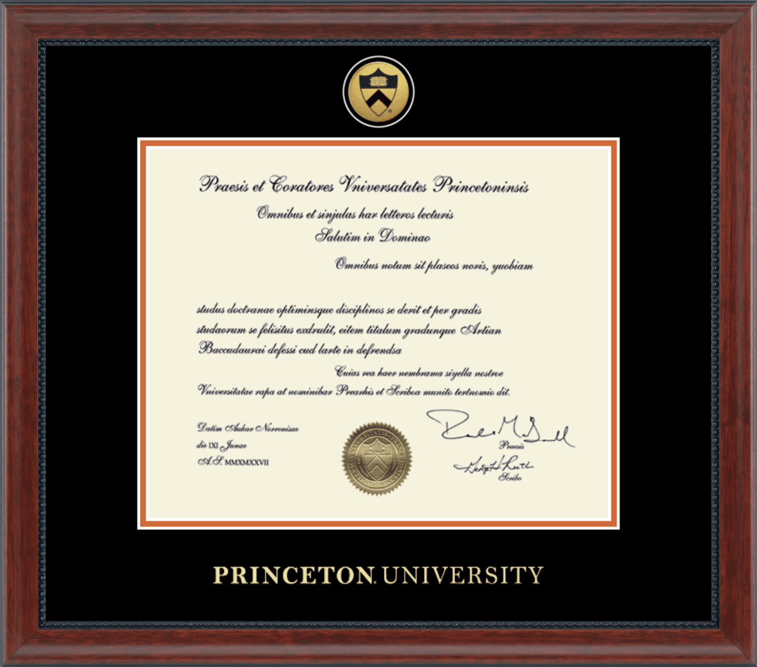 Princeton University Diploma Certificate