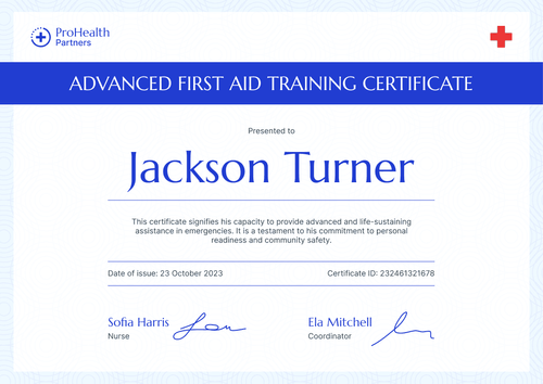 Professional and Subtle First-Aid and CPR Certificate Template landscape Professional and Subtle First-Aid and CPR Certificate Template landscape