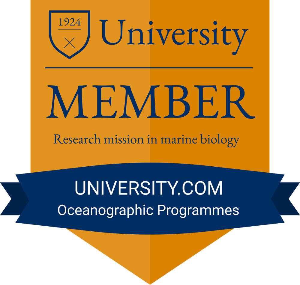 Download Free Simple & Unique Recognition Badge Template.png Download Free Simple & Unique Recognition Badge Template.png