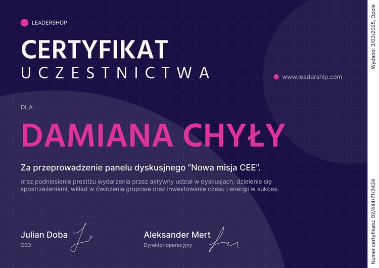 Stylowy i profesjonalny certyfikat uczestnictwa Stylowy i profesjonalny certyfikat uczestnictwa