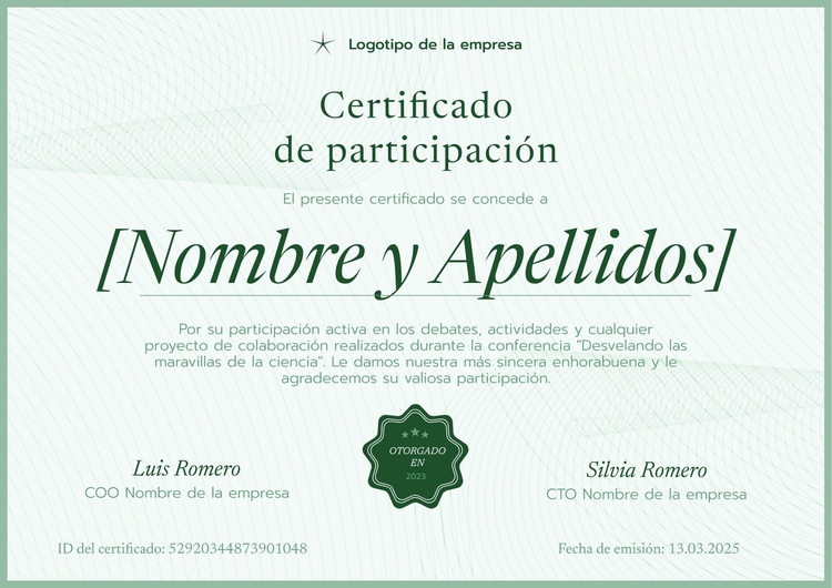 Plantilla de certificado de participación profesional y minimalista Plantilla de certificado de participación profesional y minimalista