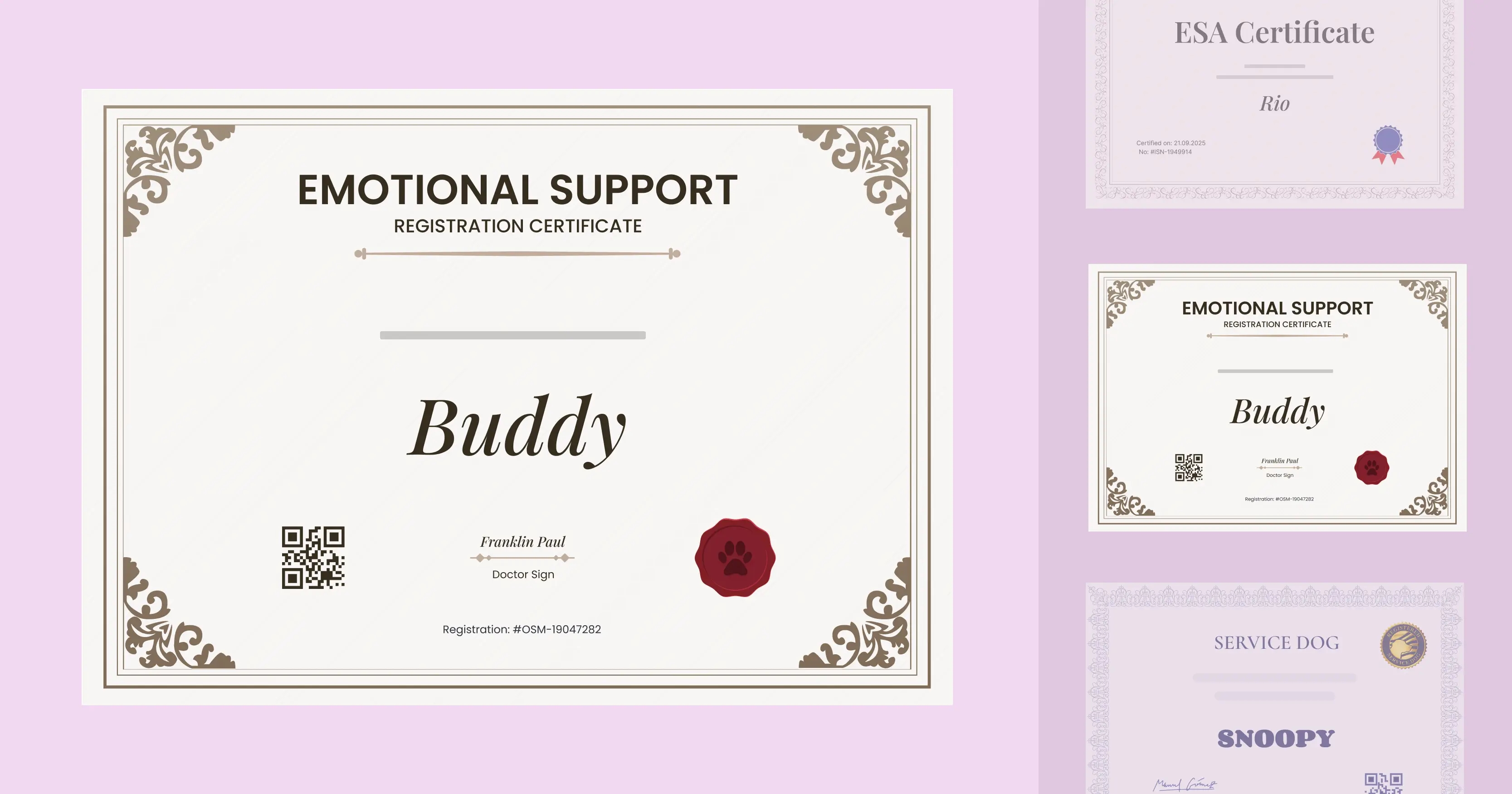 15 Blank ESA Certificate Templates cover image 15 Blank ESA Certificate Templates cover image