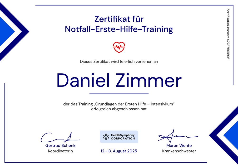 Geometrisches Erste Hilfe Zertifikat – Querformat Geometrisches Erste Hilfe Zertifikat – Querformat