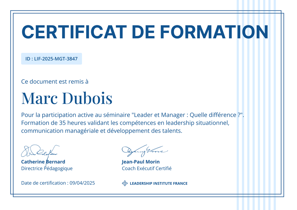 Modèle de certificat de formation minimal – Paysage Modèle de certificat de formation minimal – Paysage