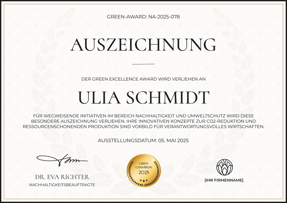 Professionelle Vorlage Auszeichnung – Querformat Professionelle Vorlage Auszeichnung – Querformat