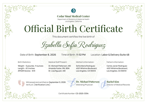 Professional Baby Birth Certificate Template for Hospitals - Landscape Professional Baby Birth Certificate Template for Hospitals - Landscape